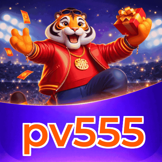 Métodos de pagamento aceitos na pv555